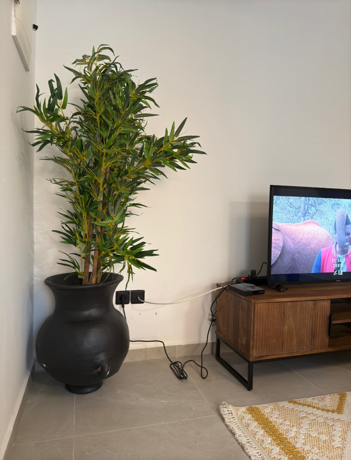 1 chambre + Salon