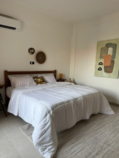 1 Chambre + Salon