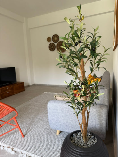 1 Chambre + Salon